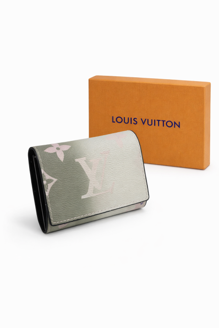 جزدان LV صغير