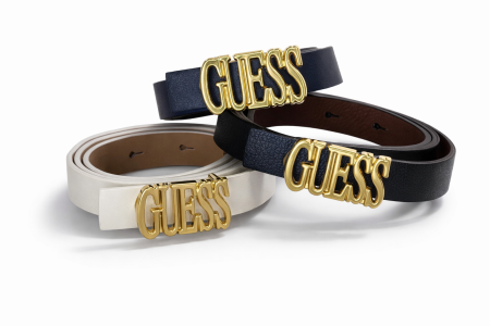 Belt Guess