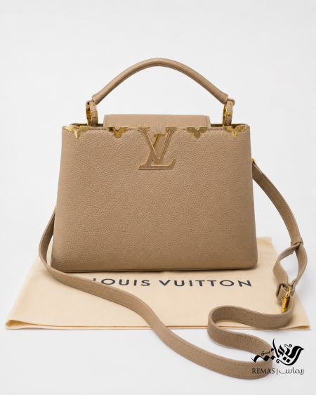Louis Vuitton Taurillon Embellished Flower Crown Capucines PM satchel