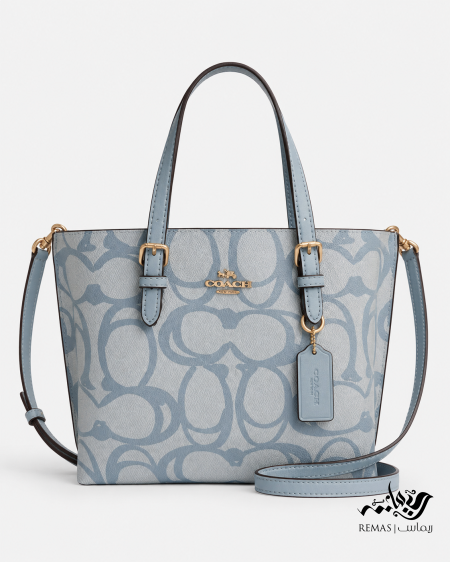 Coach Mollie Tote Bag