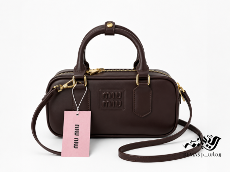 Miu Miu Arcadie mini bag